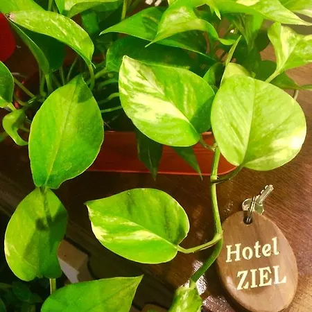 Ziel Hotel Bardonecchia